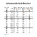 BAAK Sicherheitschuh Phoenix S3S